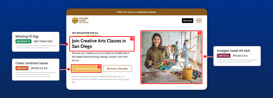 Website scanned for accessibility issues